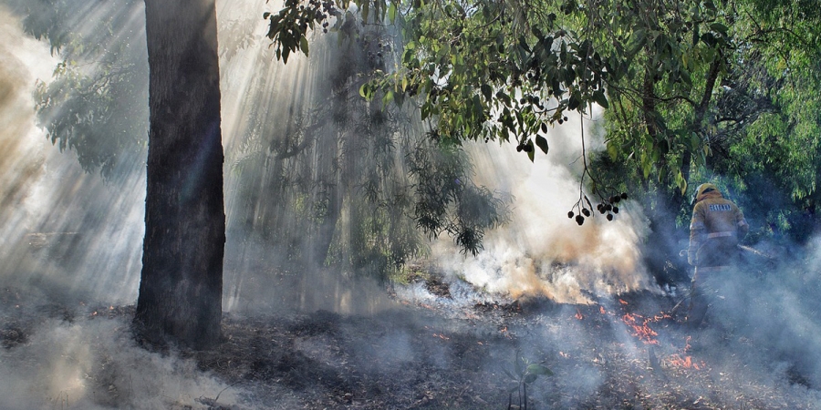 Australian Fires