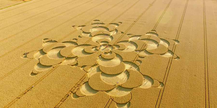 Crop Circle