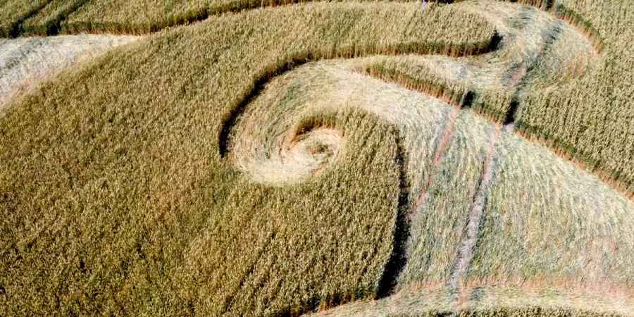 Etchilhampton Crop Circle, August 2024