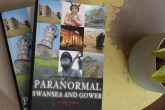 'Paranormal Swansea & Gower' by Mark Rees