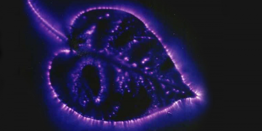 Kirlian Photography