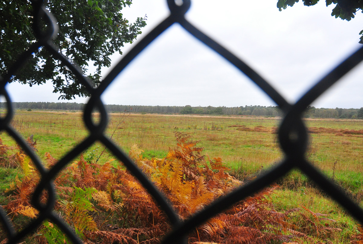 RAF Woodbridge, Rendlesham Forest